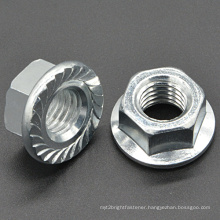 Flange Nut with Serration for Automotive (CZ339)